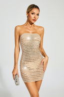 Nayana Dress