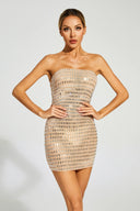 Nayana Dress