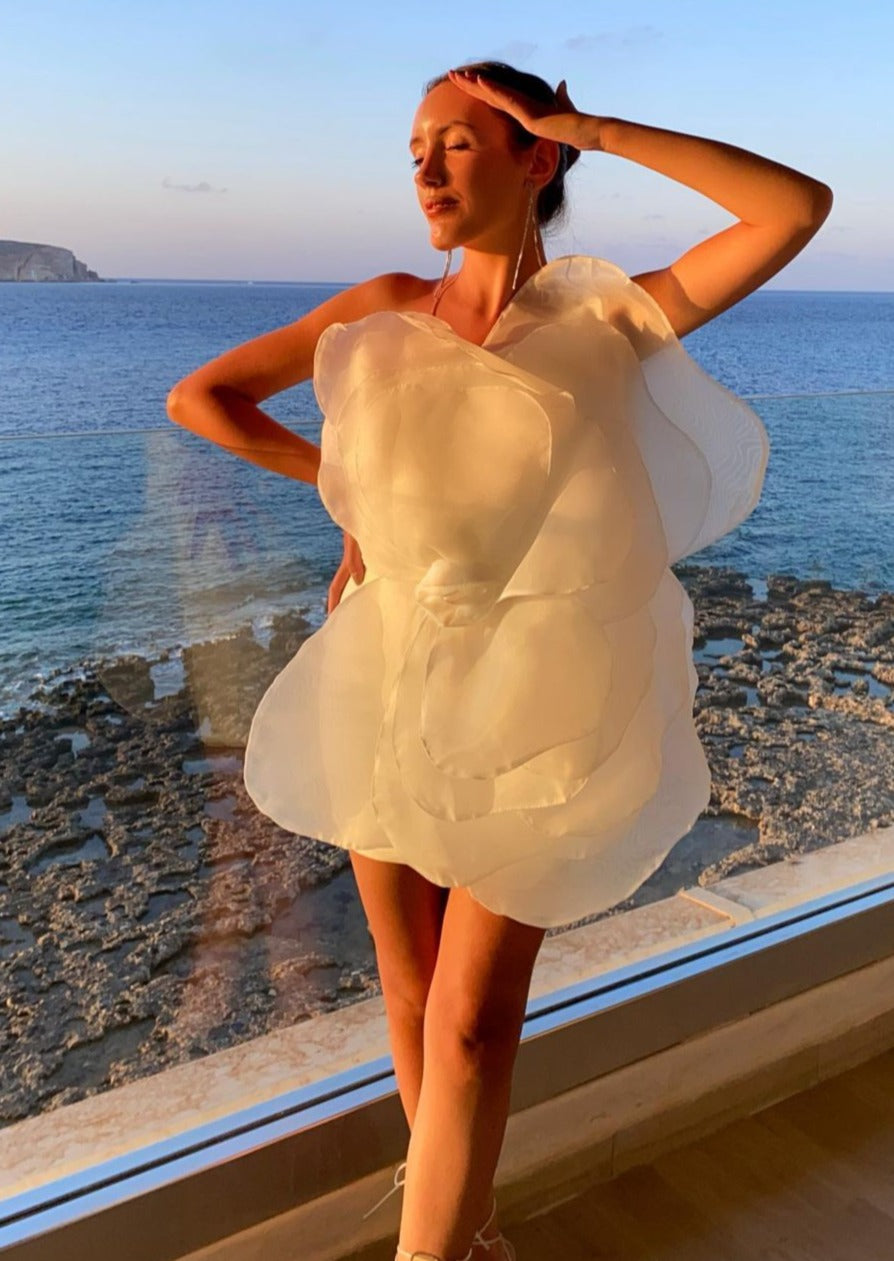 Belle Mini Dress