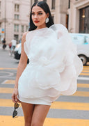 Belle Mini Dress