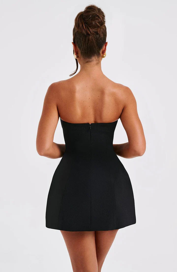 Asha Bustier Mini Dress